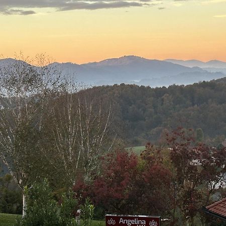 B&B Villa Angelina Rogaška Slatina Zewnętrze zdjęcie