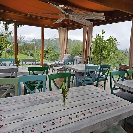 B&B Villa Angelina Rogaška Slatina Zewnętrze zdjęcie