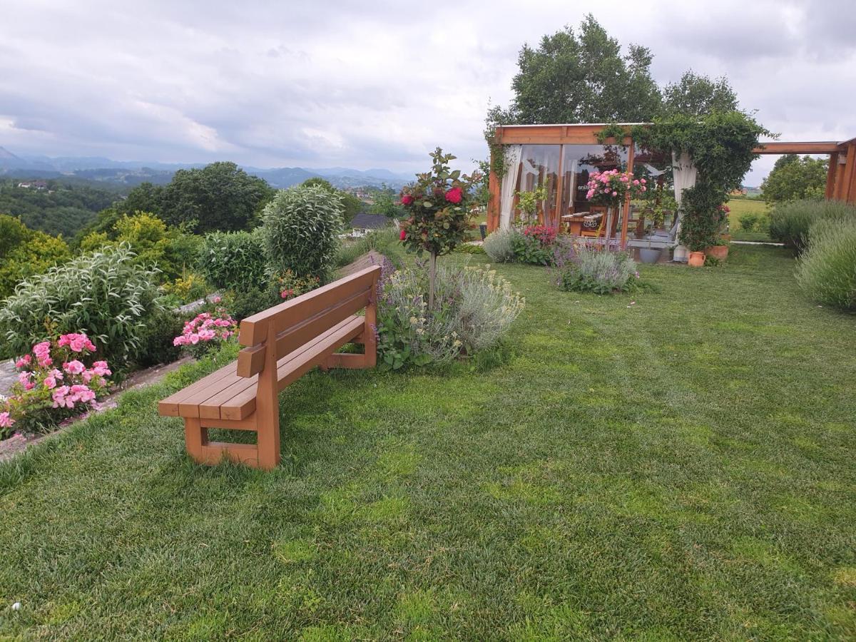 B&B Villa Angelina Rogaška Slatina Zewnętrze zdjęcie