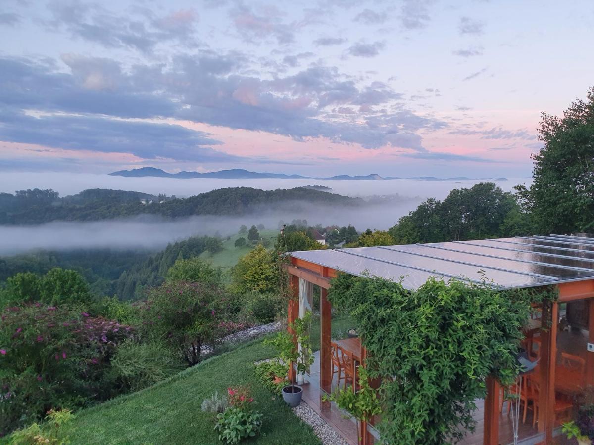 B&B Villa Angelina Rogaška Slatina Zewnętrze zdjęcie