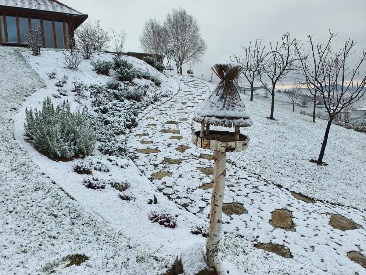 B&B Villa Angelina Rogaška Slatina Zewnętrze zdjęcie