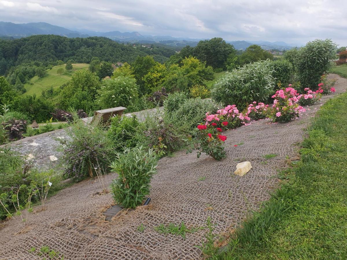 B&B Villa Angelina Rogaška Slatina Zewnętrze zdjęcie