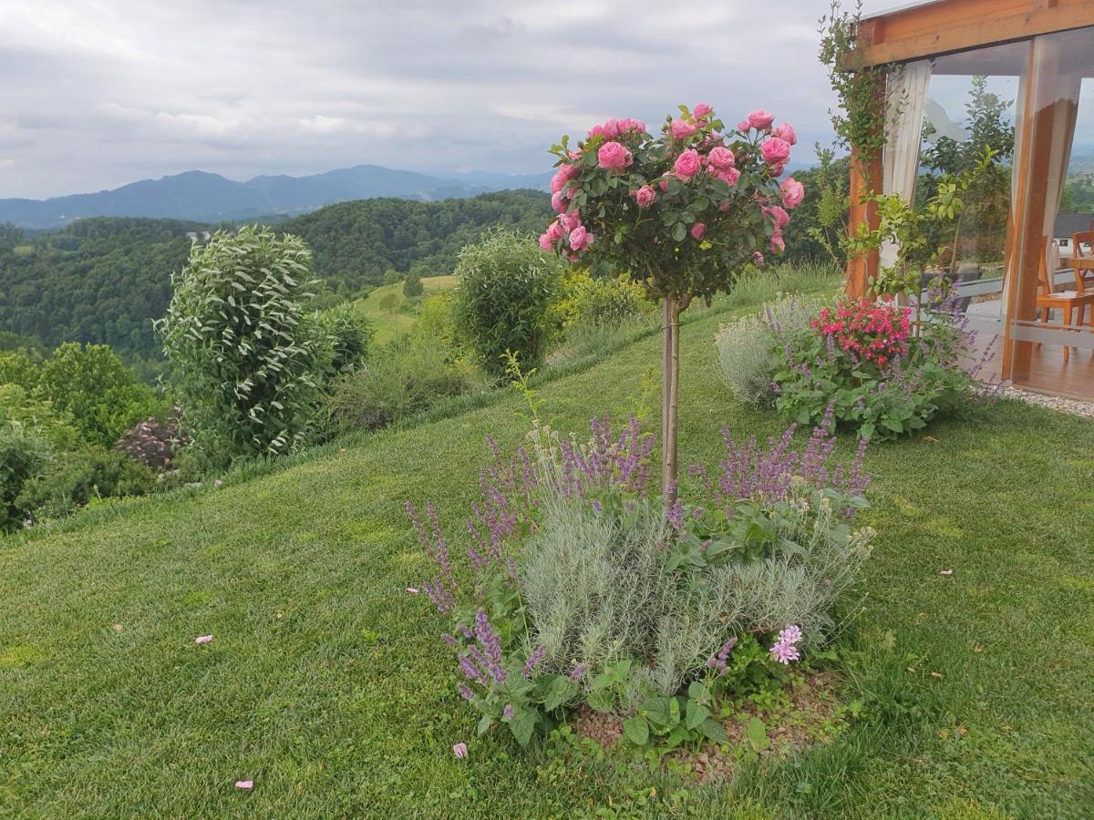 B&B Villa Angelina Rogaška Slatina Zewnętrze zdjęcie