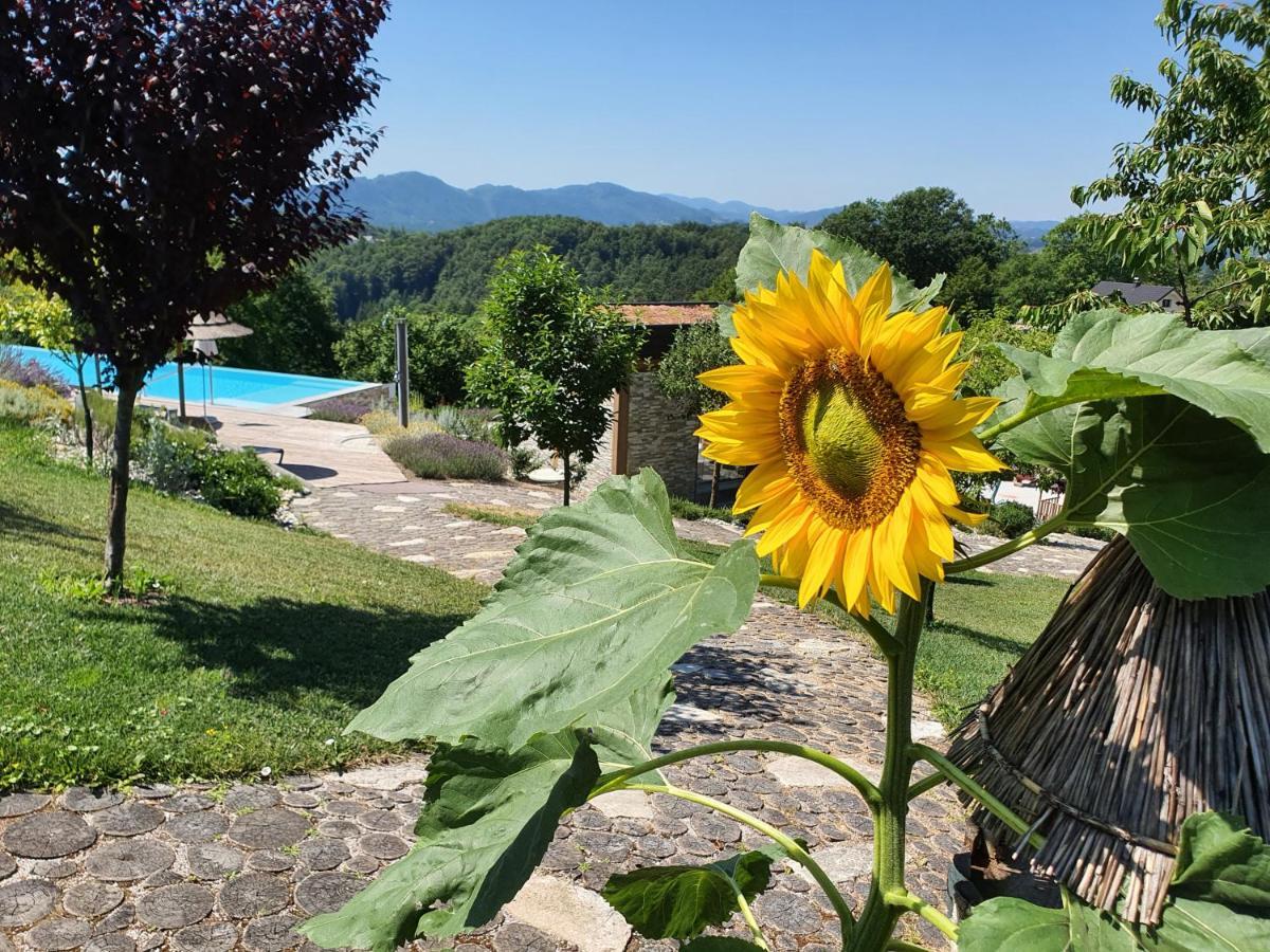 B&B Villa Angelina Rogaška Slatina Zewnętrze zdjęcie