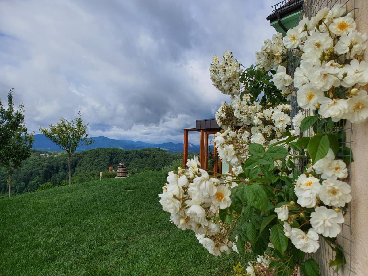 B&B Villa Angelina Rogaška Slatina Zewnętrze zdjęcie