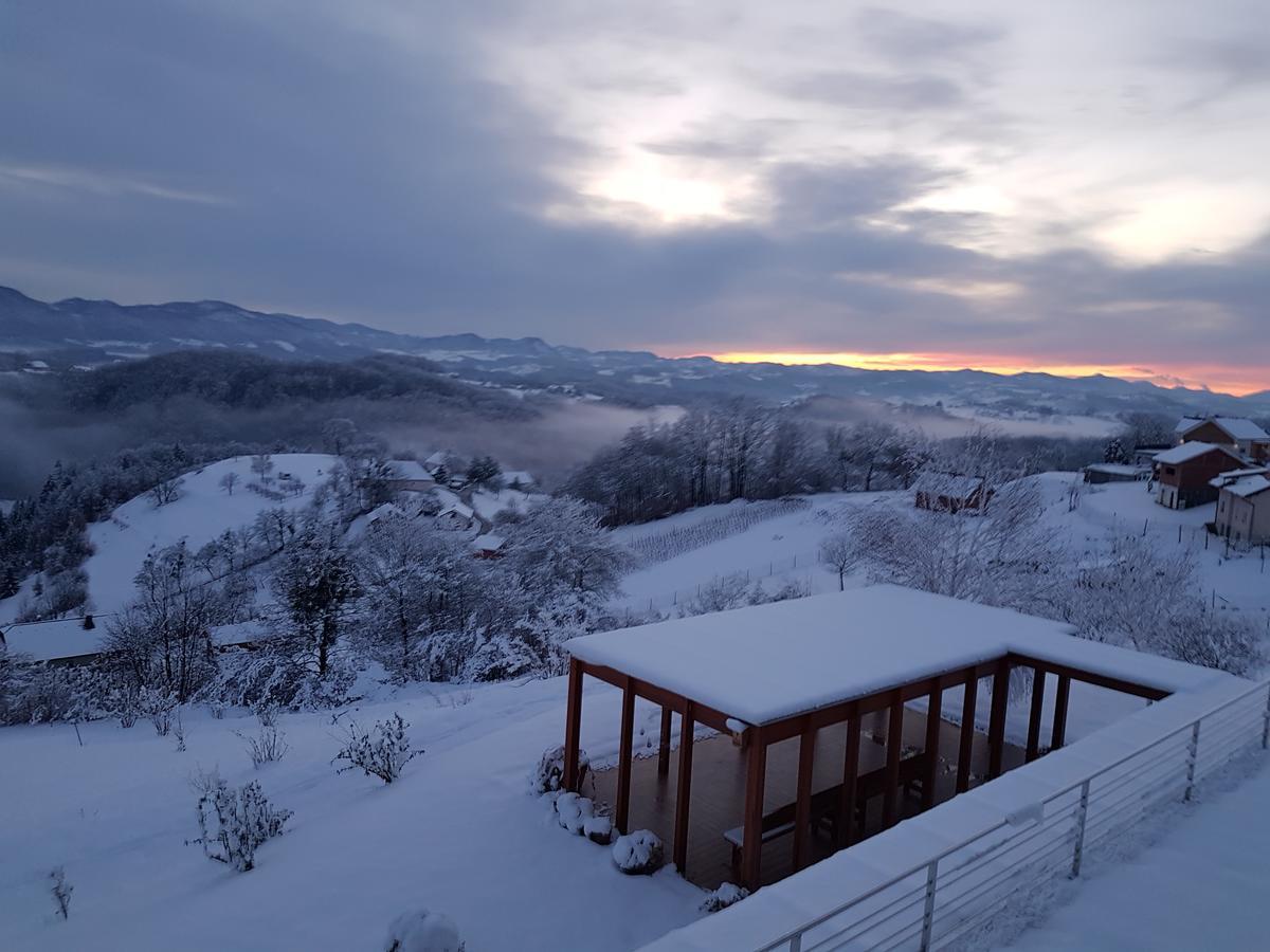 B&B Villa Angelina Rogaška Slatina Zewnętrze zdjęcie