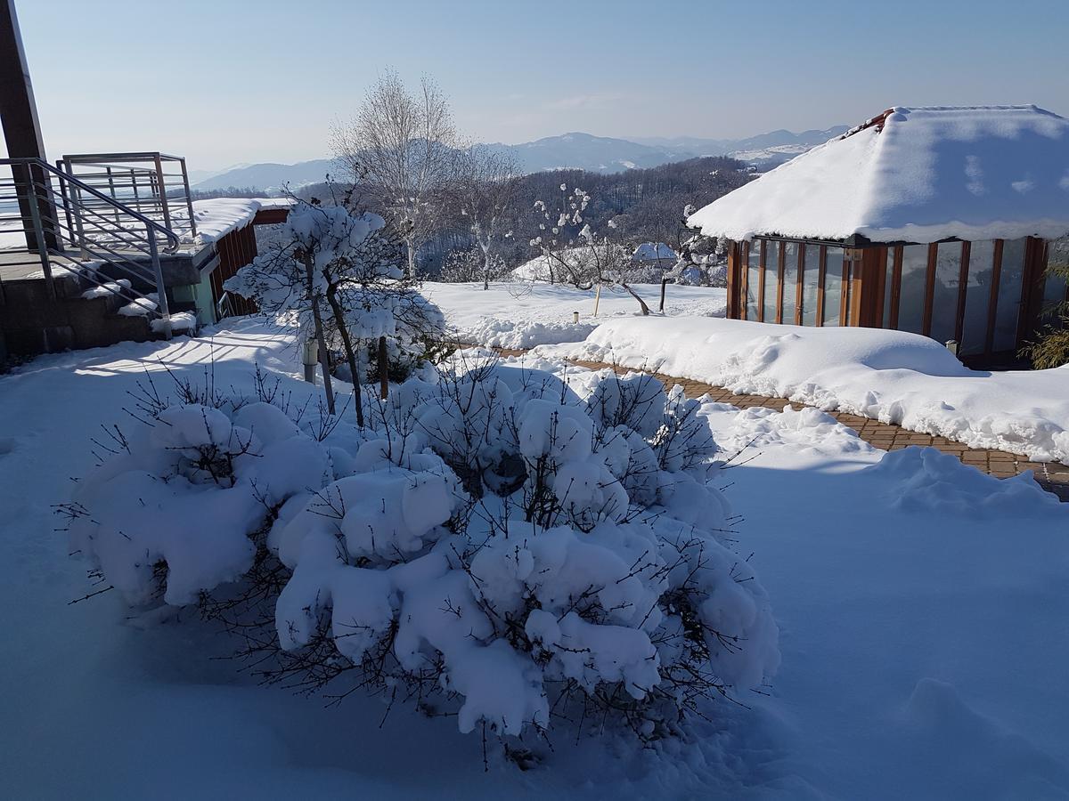 B&B Villa Angelina Rogaška Slatina Zewnętrze zdjęcie