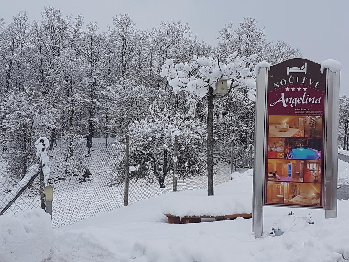 B&B Villa Angelina Rogaška Slatina Zewnętrze zdjęcie