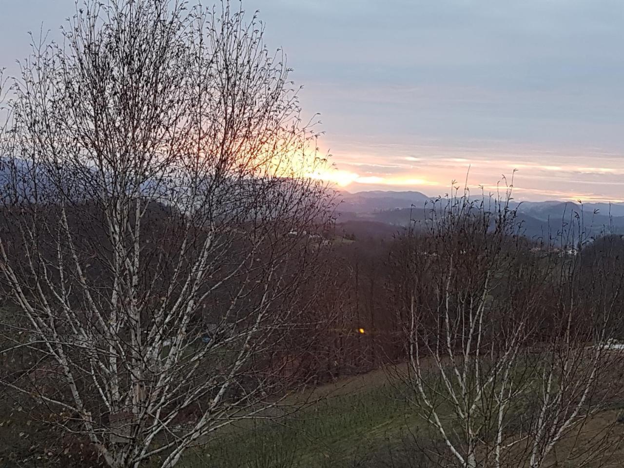 B&B Villa Angelina Rogaška Slatina Zewnętrze zdjęcie