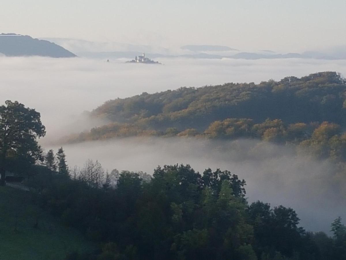 B&B Villa Angelina Rogaška Slatina Zewnętrze zdjęcie