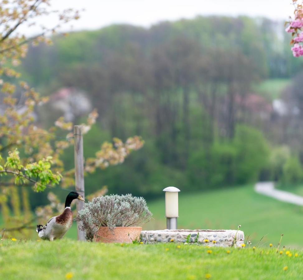 B&B Villa Angelina Rogaška Slatina Zewnętrze zdjęcie